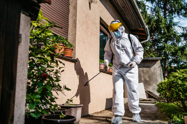 Best Mosquito Control Services  in Lmerton, PA
