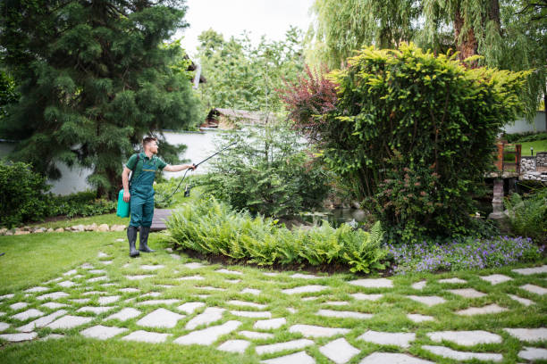 Best Wasp Removal Services  in Lmerton, PA