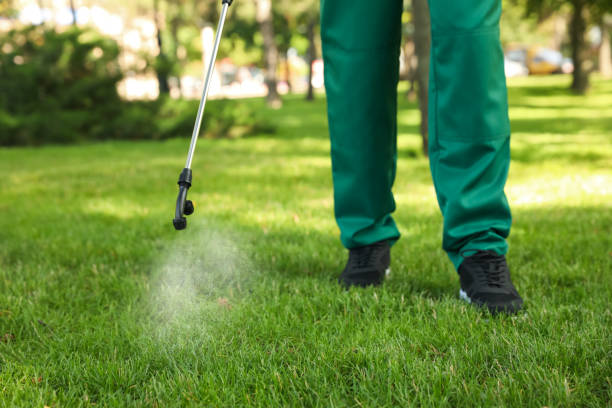 Best Flea Control Services  in Lmerton, PA