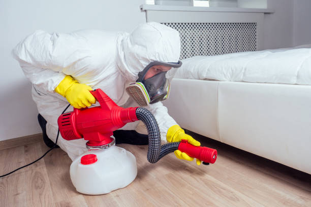 Professional Pest Control in Palmerton, PA