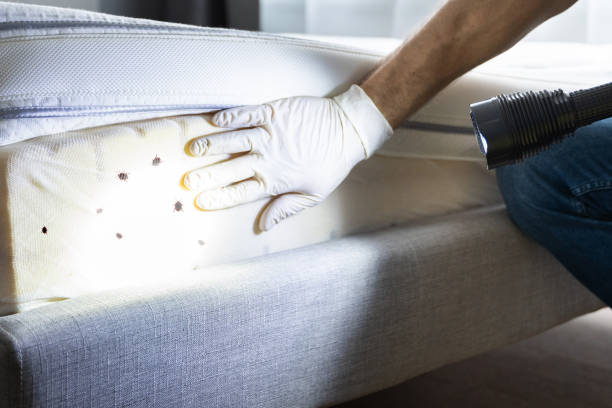 Best Emergency Pest Control  in Lmerton, PA