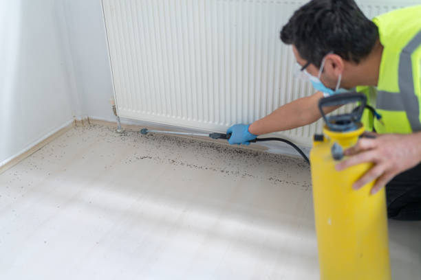 Best Best Pest Control Companies  in Lmerton, PA